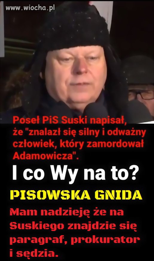Pisowski wieprz z niskim IQ