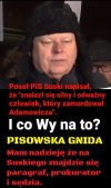 Pisowski wieprz z niskim IQ