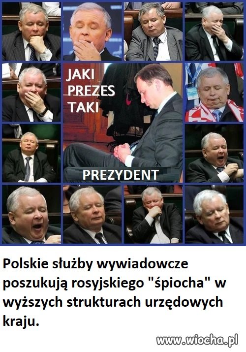 Śpioch