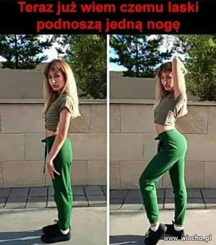 Wszędzie oszukują