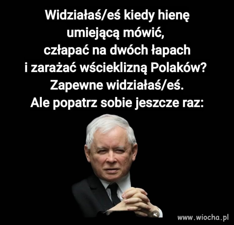 Tak na dobry początek dnia ...