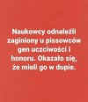 To może mocna lewatywa to wyleczy ?