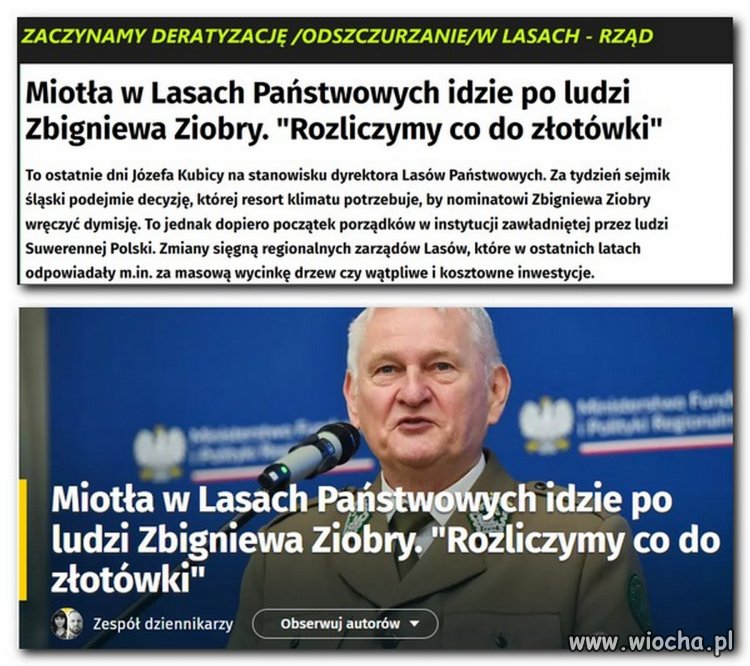 Nareszcie lasy i żyjące