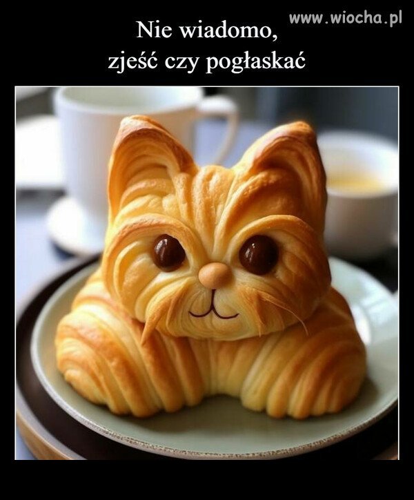 A ty co byś zrobił?
