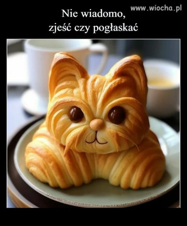 A ty co byś zrobił?