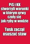 Kaprawym okiem ateisty patrząc ...