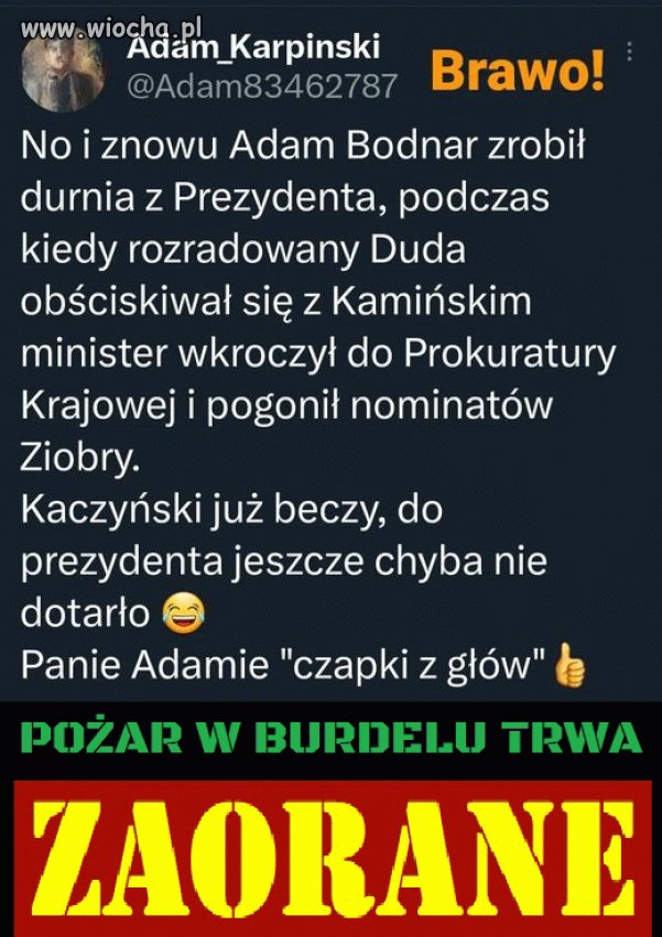 Panie Bodnar ostro z nimi