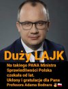 Duży lajk