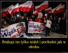 No cóż taki elektorat