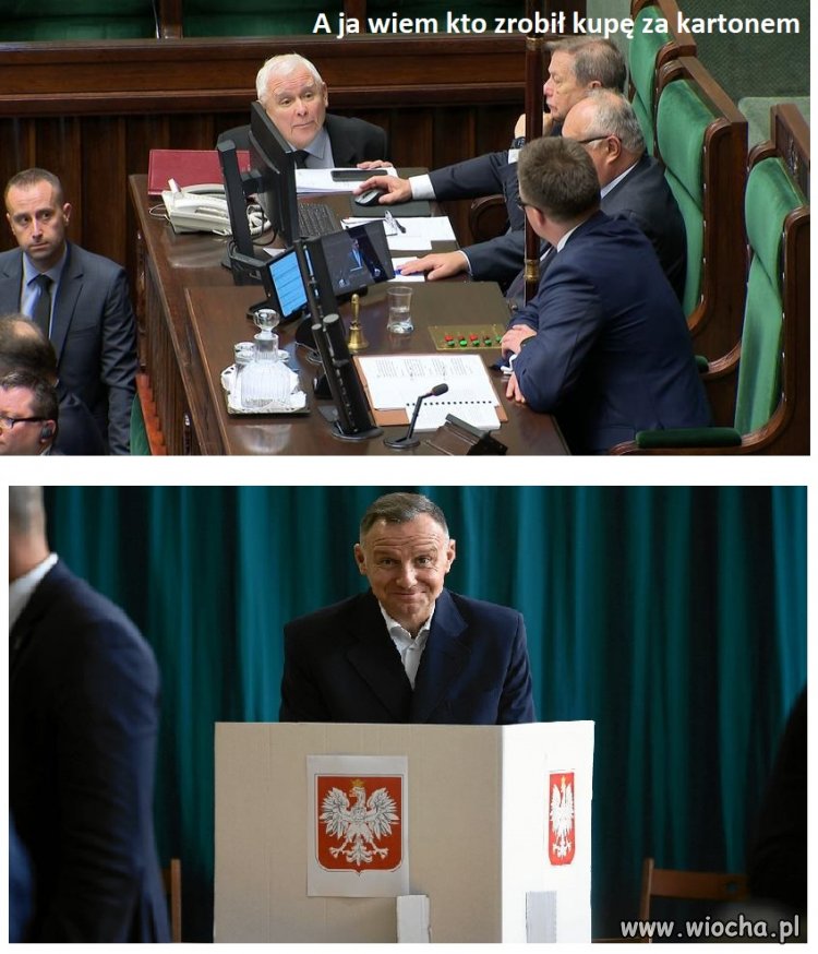 Uprzejmie, acz ze wstrętem donoszę