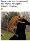 Kto pyta nie bladzi...