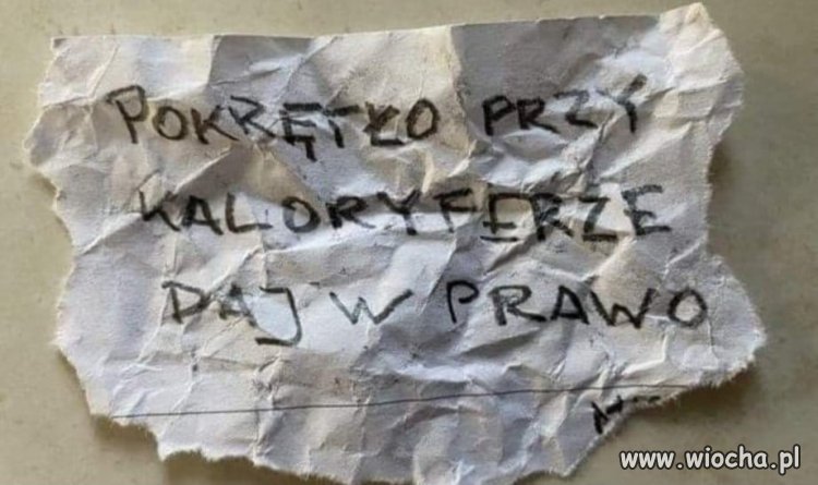 Przechwycono pierwszy gryps Wąsika do żony