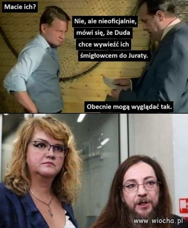 Borowicz na tropie 