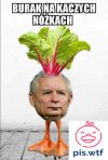 Burak na kaczych nóżkach