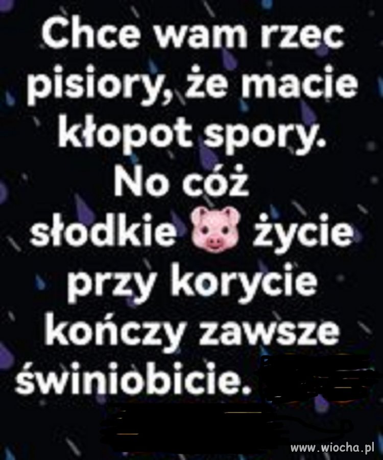 Oni to wiedzą