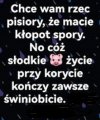 Oni to wiedzą