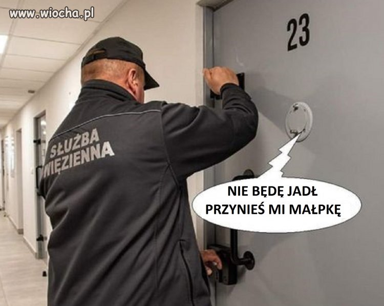Na kacu nie ma apetytu