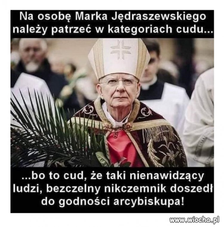 Szkoda słów... na szkodnika