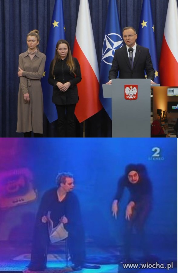 Kobiety memy