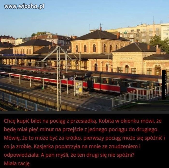 Samo życie