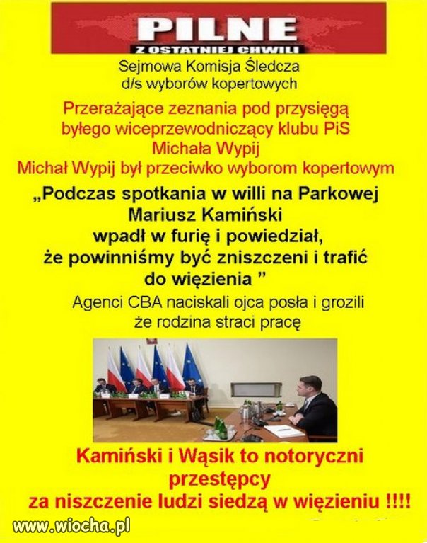 Im dalej w las, tym więcej drzew - prawdziwe oblicze PiS!