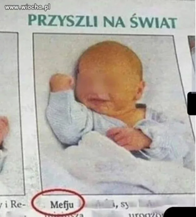 Mefju witamy 
