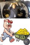 Krótka historia pewnego złota