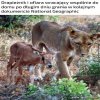 Ciężki dzień na planie