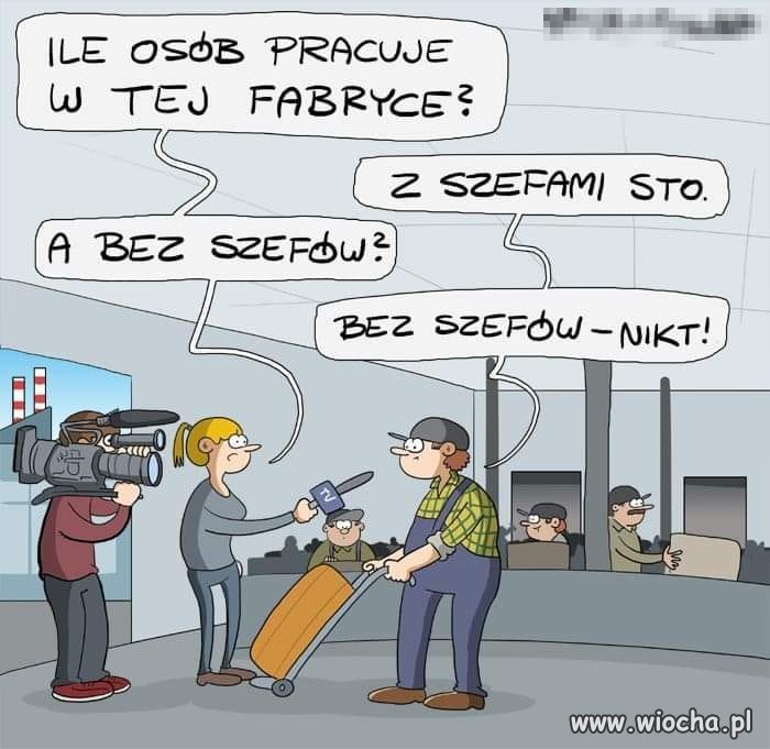 Praca 