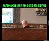 Zgadniecie?