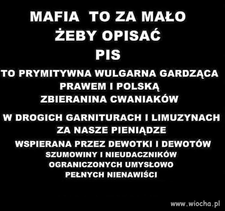 Trzeba to wreszcie jasno i stanowczo powiedzieć...