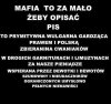Trzeba to wreszcie jasno i stanowczo powiedzieć...