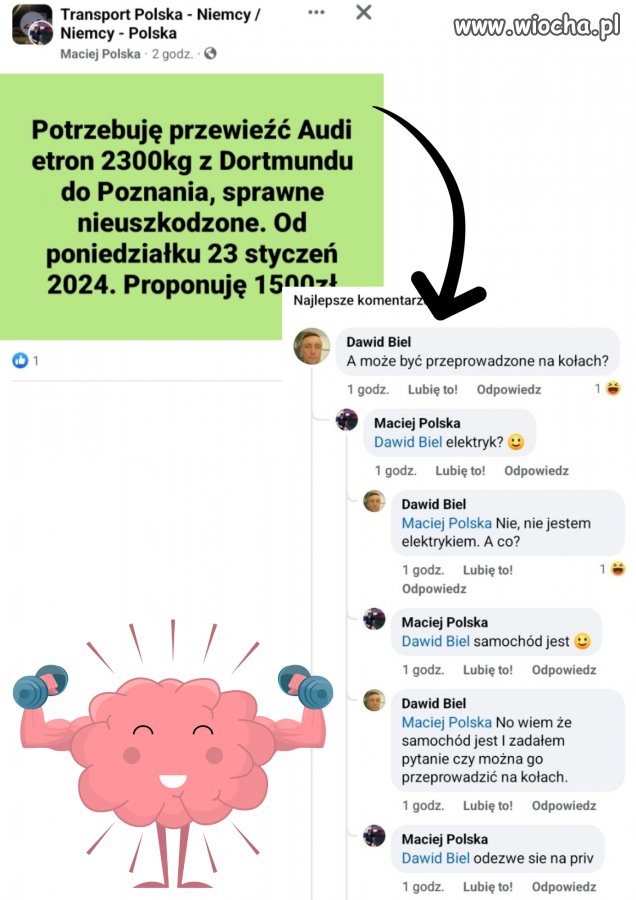 Dawid chyba nie rozumiał do końca 