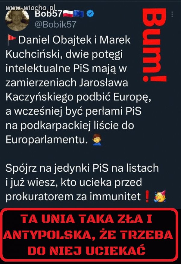 Zakłamane pisowskie szczury