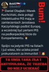 Zakłamane pisowskie szczury