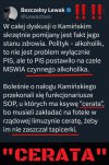 Pseudonim "Cerata"