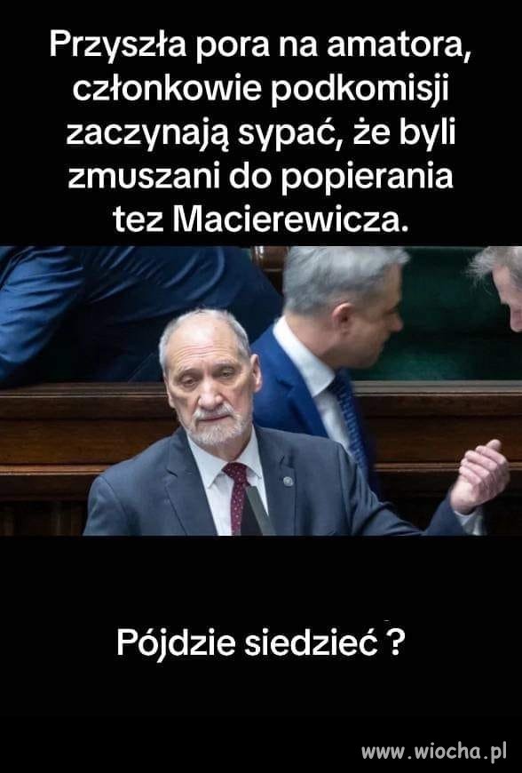 Wronki czy Tworki ? Co obstawiacie ?