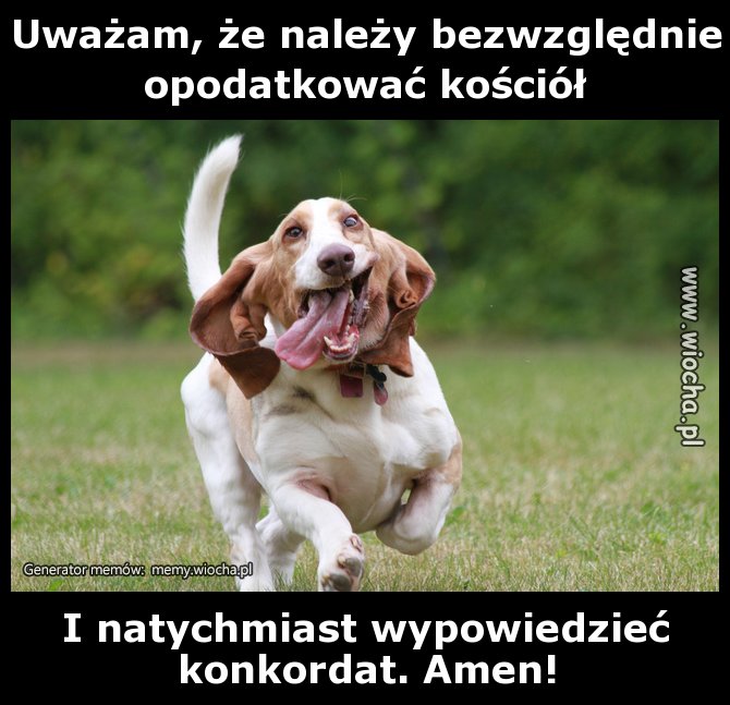 Uważam, że należy bezwzględnie opodatkować kościół