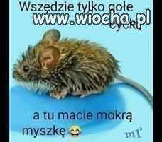 Fotka 