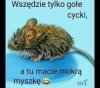 Fotka 