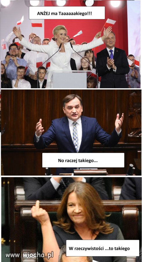 Licytacja