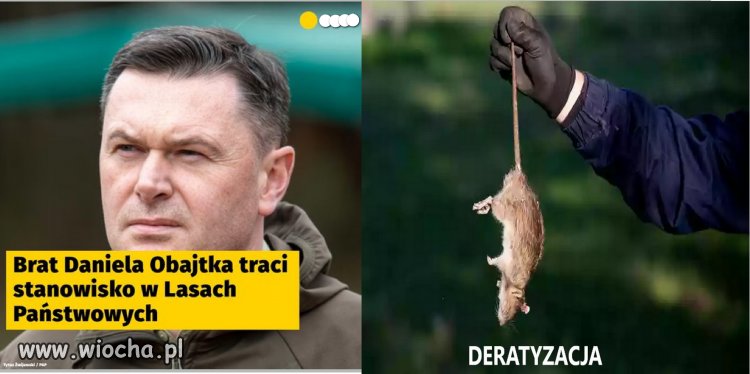 Czyszczenie