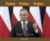 Pajac w pałacu