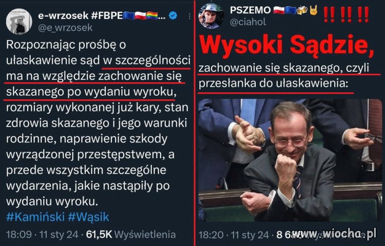 Przesłanka do ułaskawienia