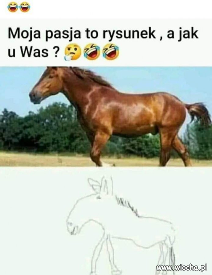 Moja pasja 