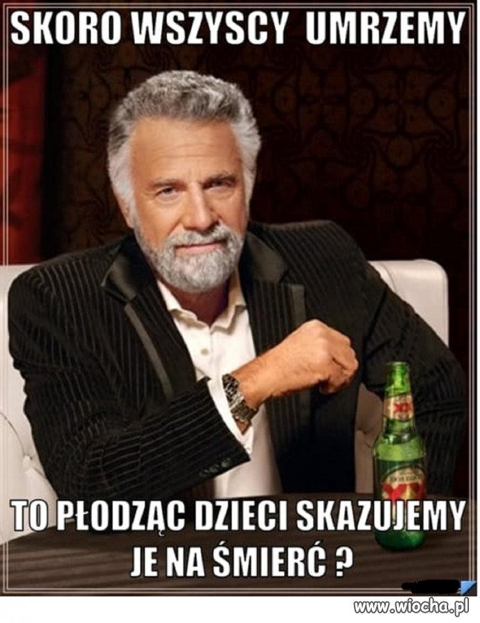 Porażająca logika