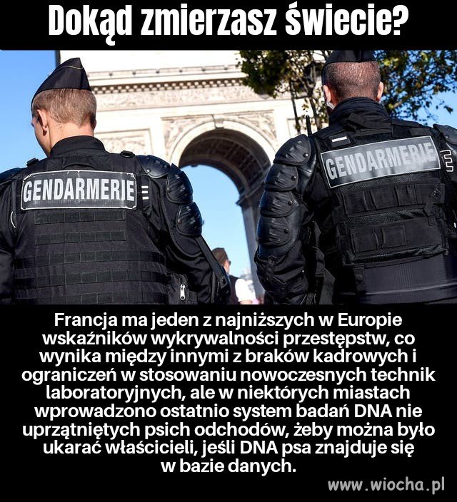 A zasoby najlepiej wykorzystać tak...