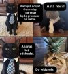 Humor.