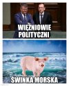 Tłumaczę