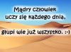 Potwierdzam